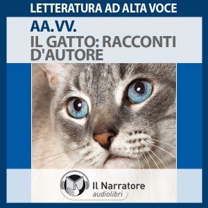Il gatto