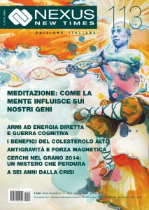 Nexus New Times 113