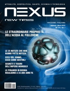 Nexus New Times 114